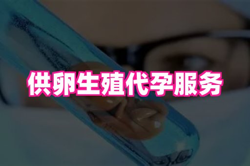 无锡助孕网 3